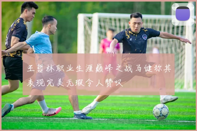 王哲林职业生涯巅峰之战马健称其表现完美无瑕令人赞叹