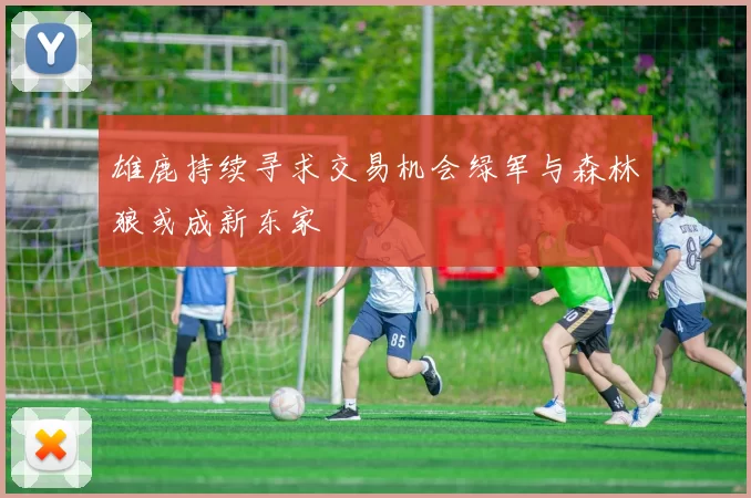 雄鹿持续寻求交易机会绿军与森林狼或成新东家