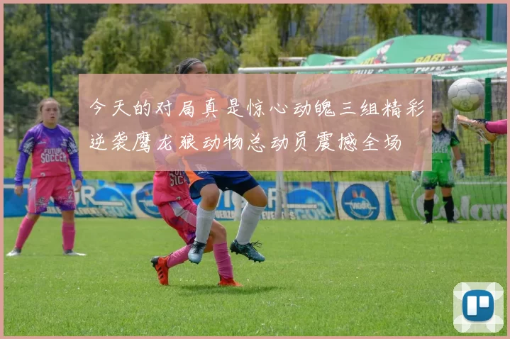 今天的对局真是惊心动魄三组精彩逆袭鹰龙狼动物总动员震撼全场